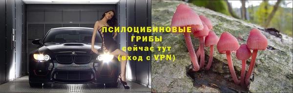 дживик Бугульма