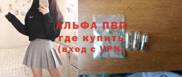 шишки Беломорск