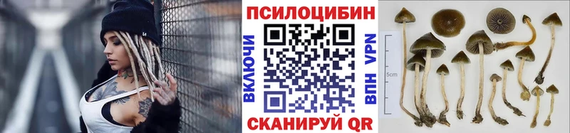 Галлюциногенные грибы мицелий  Балашов 